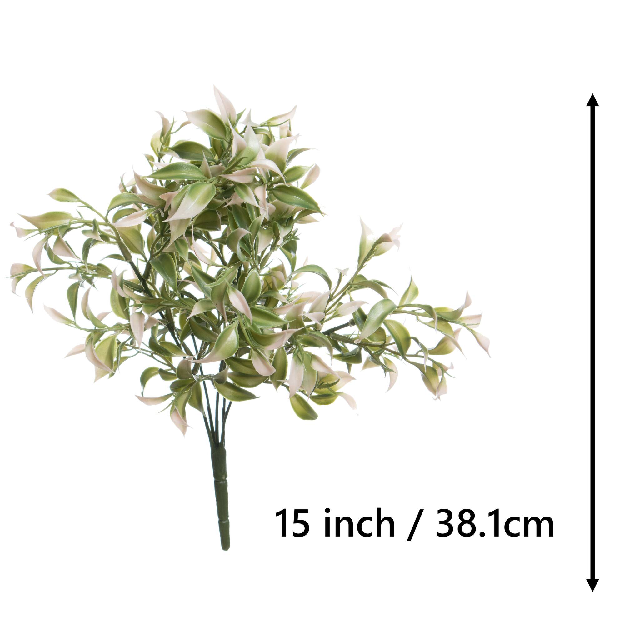 13" Ruscus Bush by Ashland